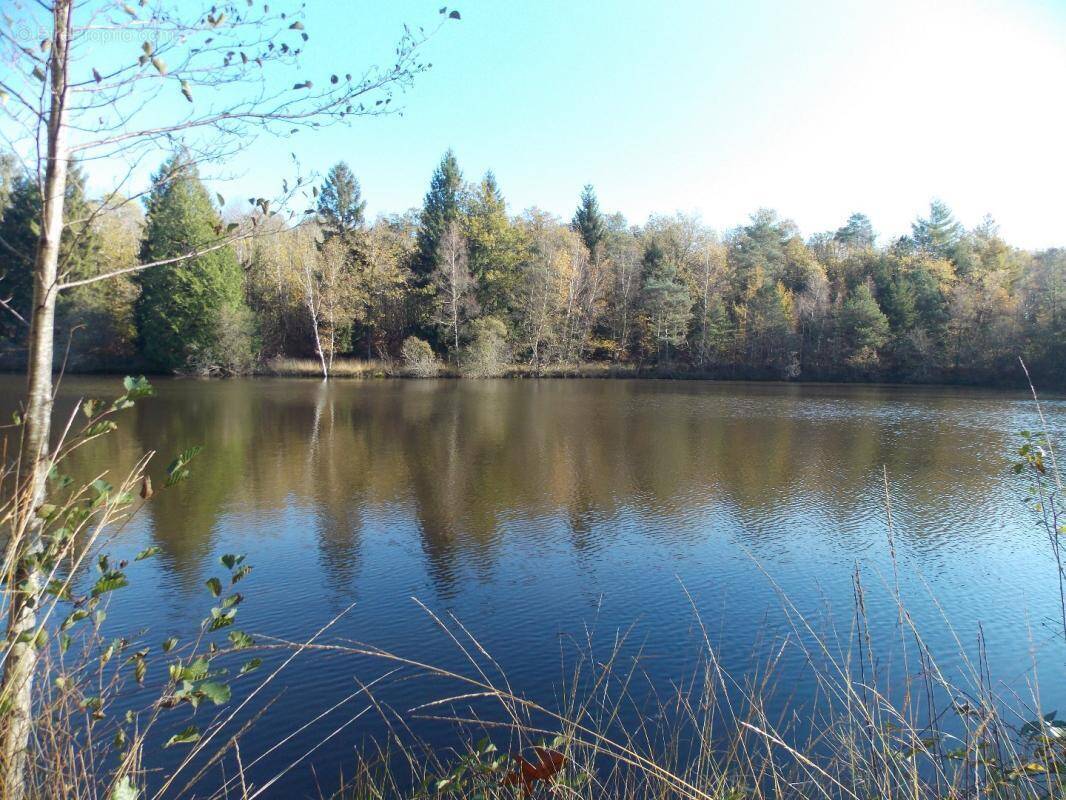 Terrain à LA CHAPELLE-MONTBRANDEIX