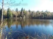 Terrain à LA CHAPELLE-MONTBRANDEIX