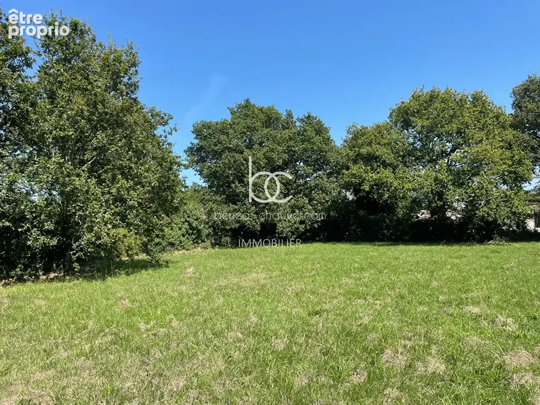 Terrain à SARZEAU