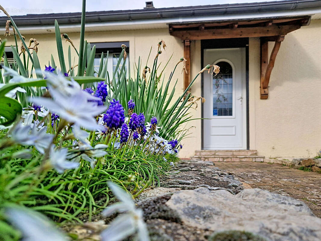 Maison à GENNES