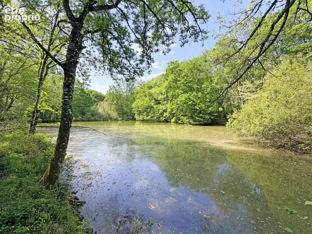 Propriété de 19,5 hectares avec étang multiples bâtiments - photo 2