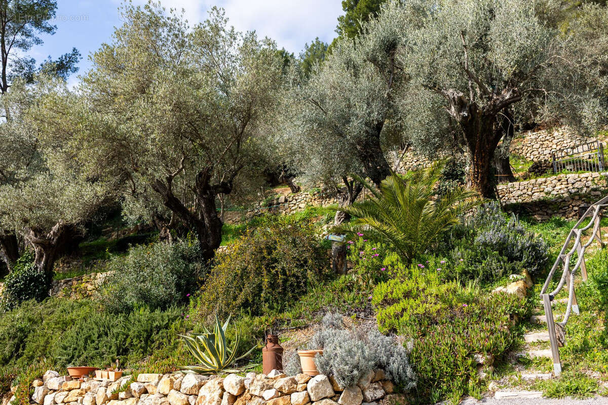 Maison à SOLLIES-PONT