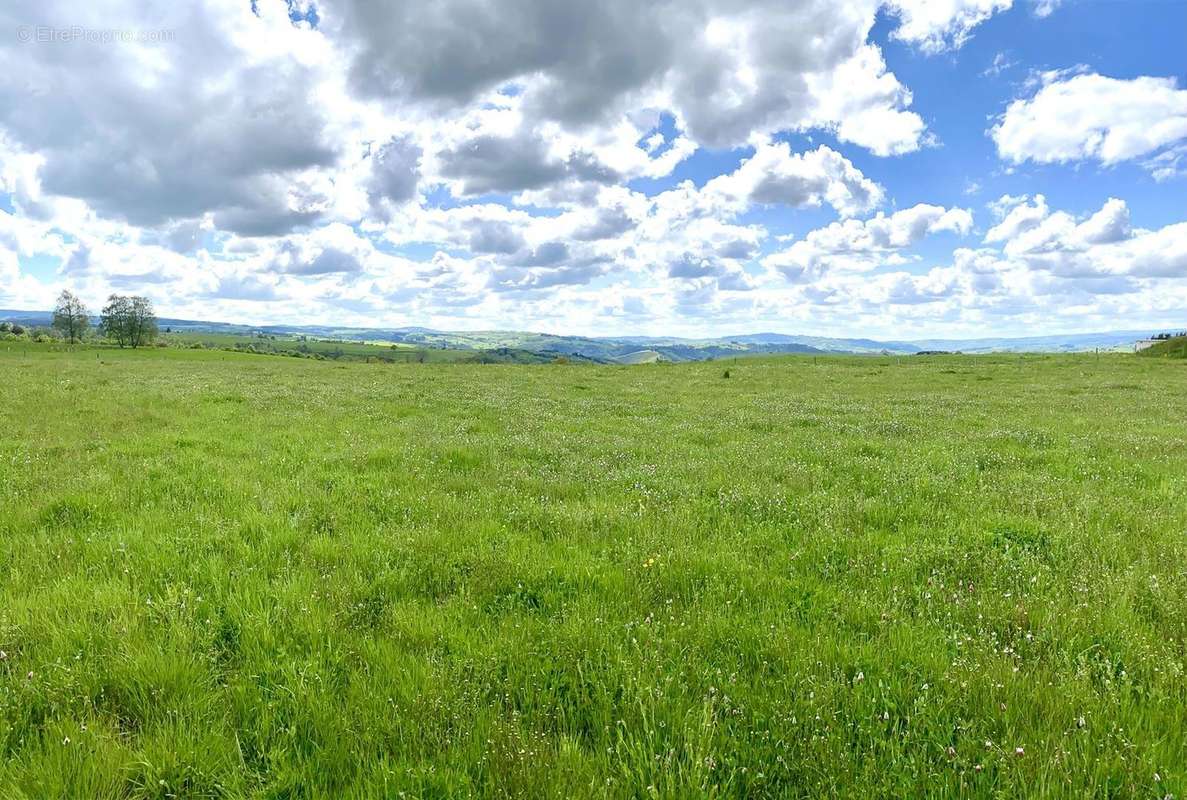 Terrain à SAINT-MARTIAL