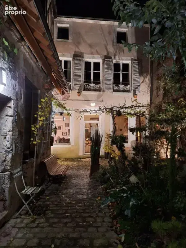 Viager occupé maison d'artiste chatillon sur loire - photo 18