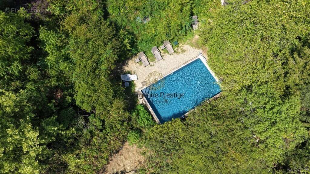 Maison de caractere 231 m² avec piscine, dependances et plus d'un hectare de terrain a tournus - photo 3