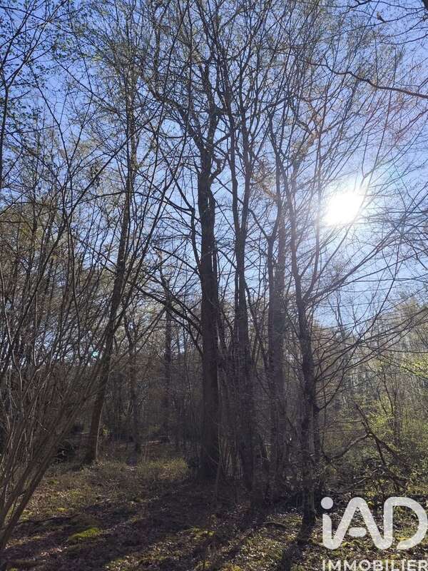 Photo 3 - Terrain à SURY-PRES-LERE