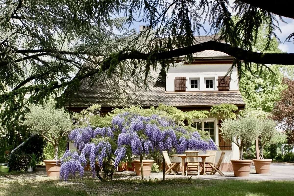 Maison à AMBILLY