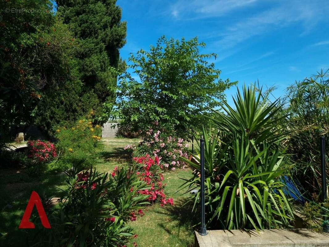 À VENDRE  Superbe maison de maître au cur des vignes à Jonquières (Hérault) - photo 29