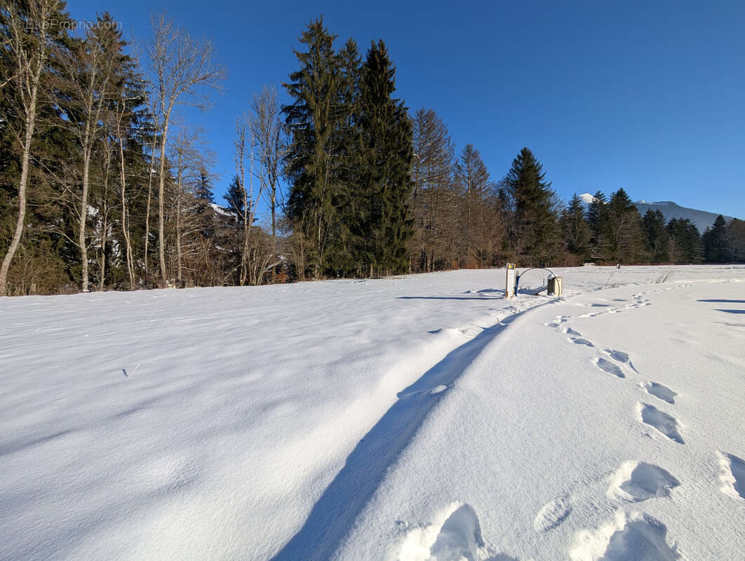 Appartement à MONTRIOND