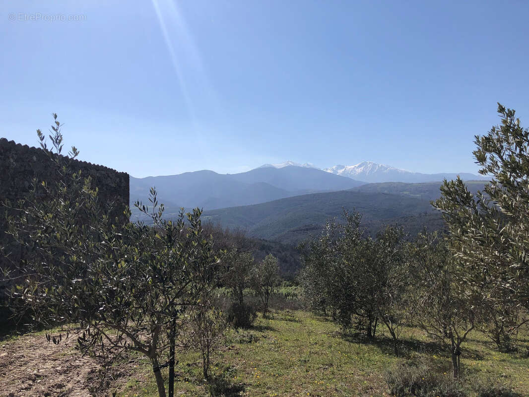 Maison à CALMEILLES