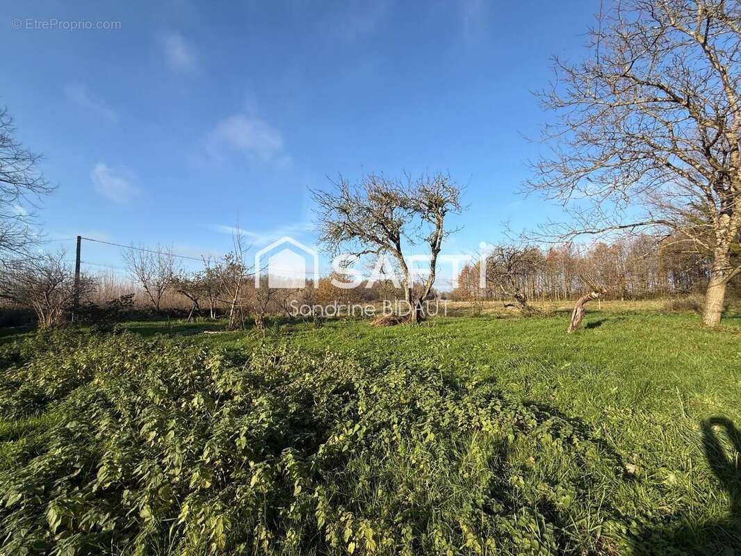 Photo 7 - Maison à ROMENAY