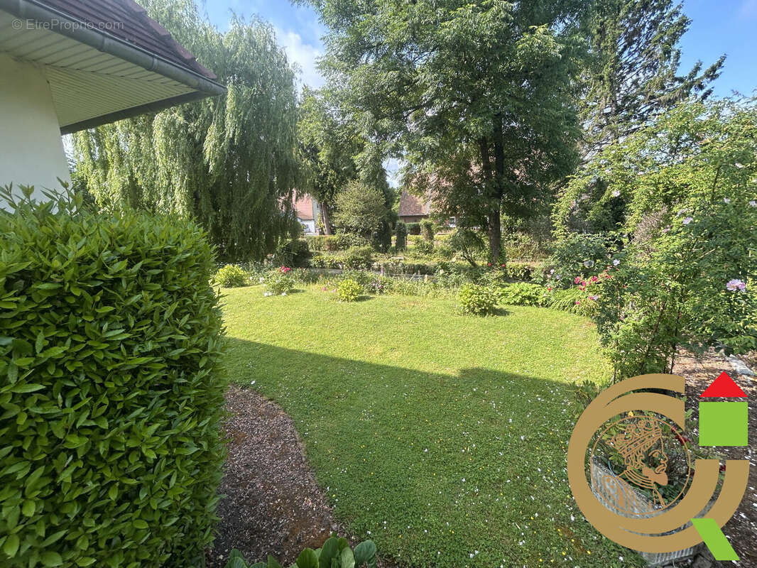 Maison 360 m² à Auxi-Le-Chateau  - photo 6