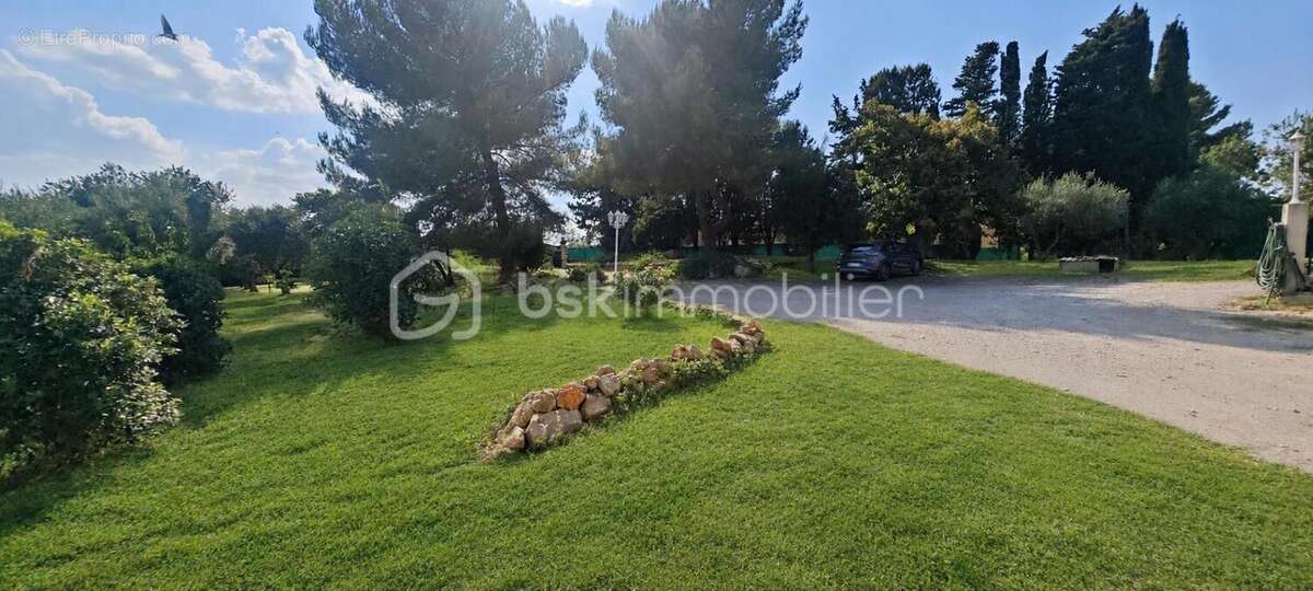 RARE !!!Aux portes de Montpellier et du bassin de Thau, propriété avec maison de 233m2 au coeur de 5000m2 constructible - photo 5
