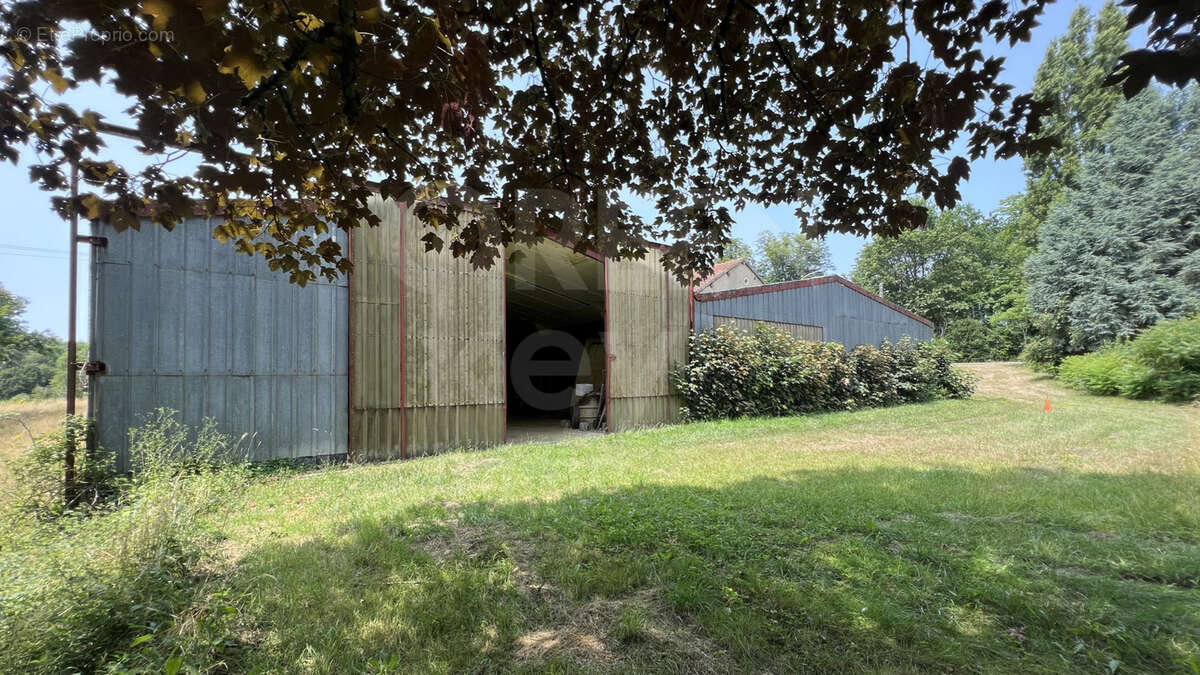 Maison à SAINT-SAUVEUR-EN-PUISAYE