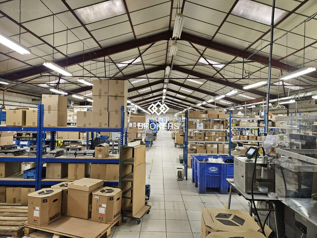 Commerce à SAINT-TRIVIER-DE-COURTES