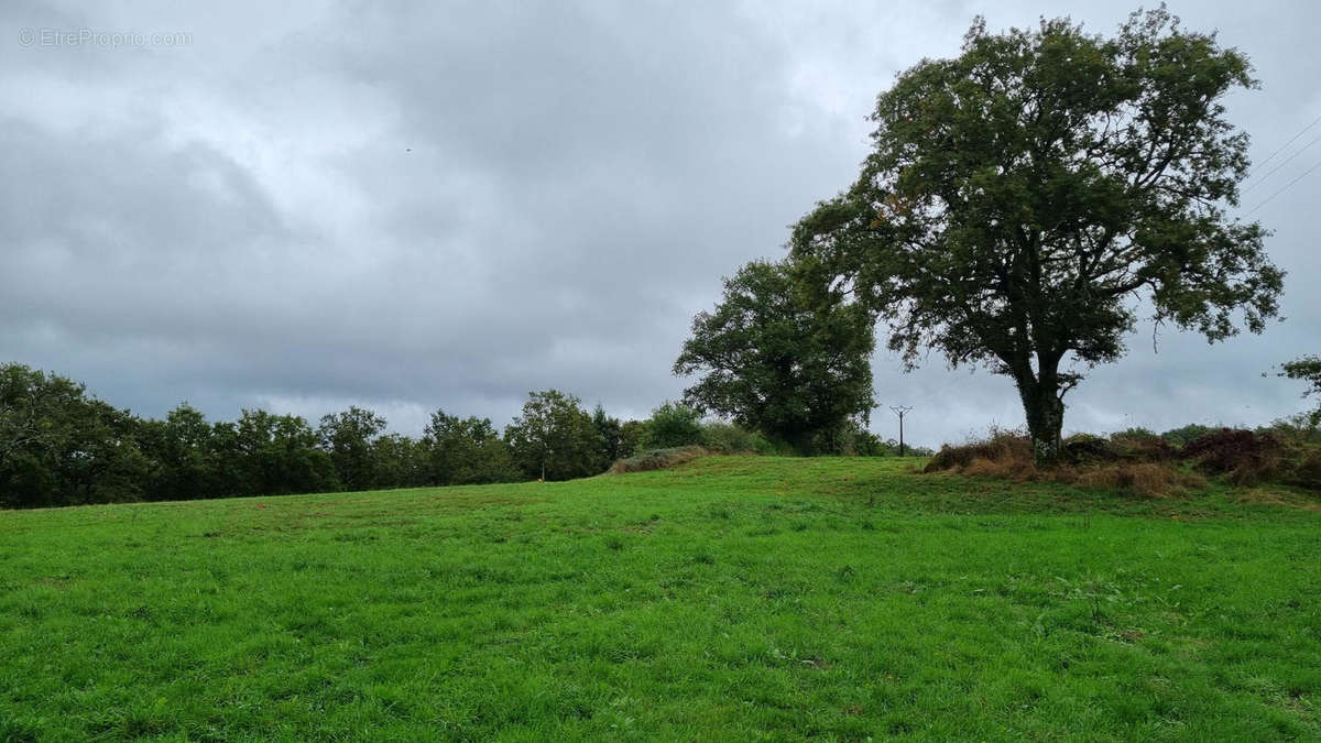 20240926_151619 - Maison à LE BOURDEIX