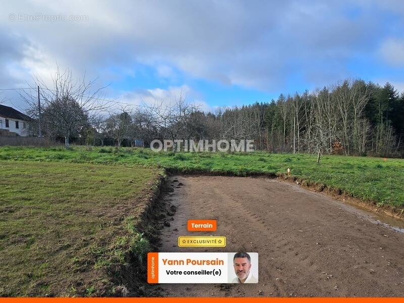 Terrain à LE PALAIS-SUR-VIENNE