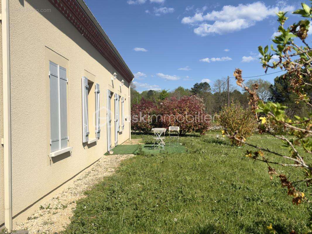 Maison contemporaine de plain-pied – Lumineuse – Grand terrain - photo 4