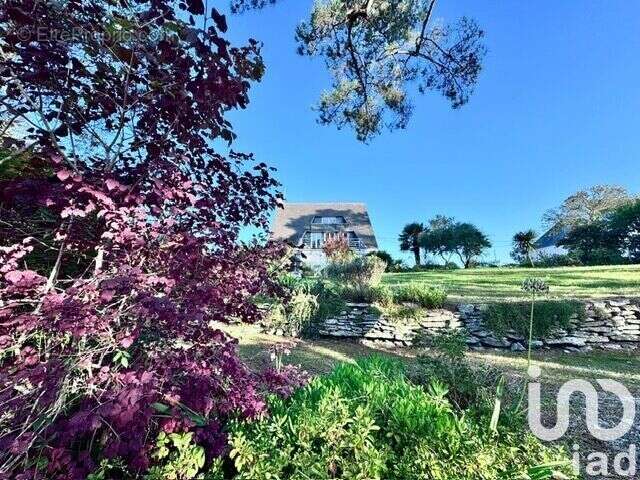 Photo 3 - Maison à PLOBANNALEC-LESCONIL