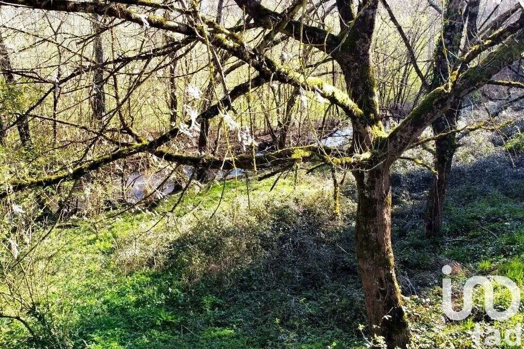 Photo 2 - Maison à PORCHERES