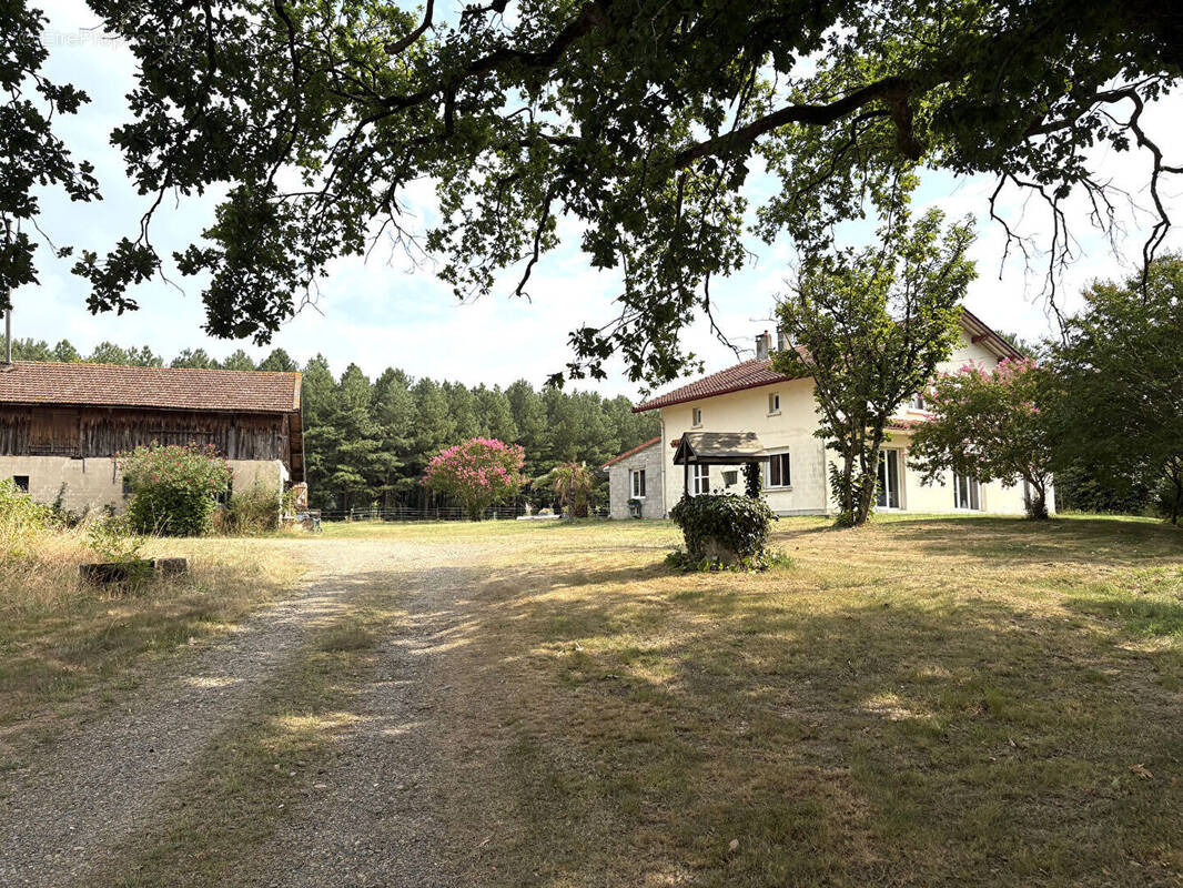Maison à SOUPROSSE