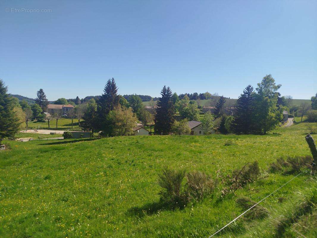 Terrain à CHAUDEYRAC
