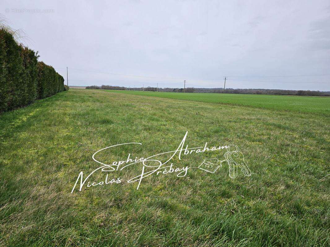 Terrain à JANVILLE
