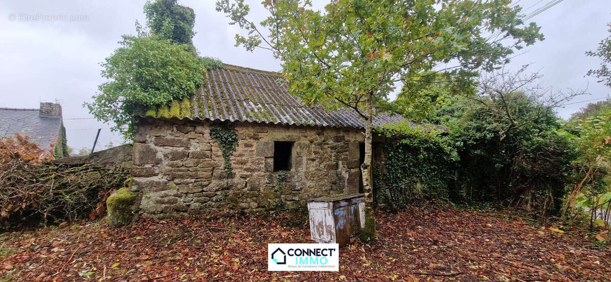 Maison à LE CLOITRE-SAINT-THEGONNEC