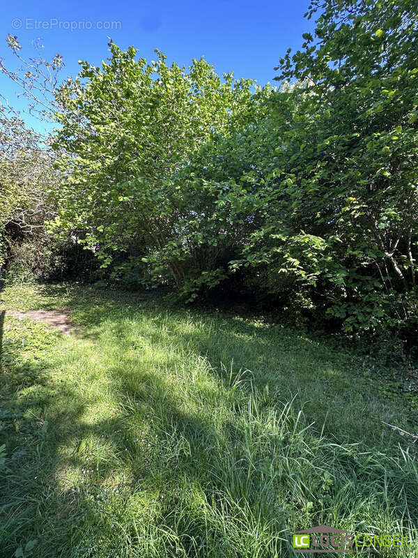Terrain à LE PLESSIS-ROBINSON