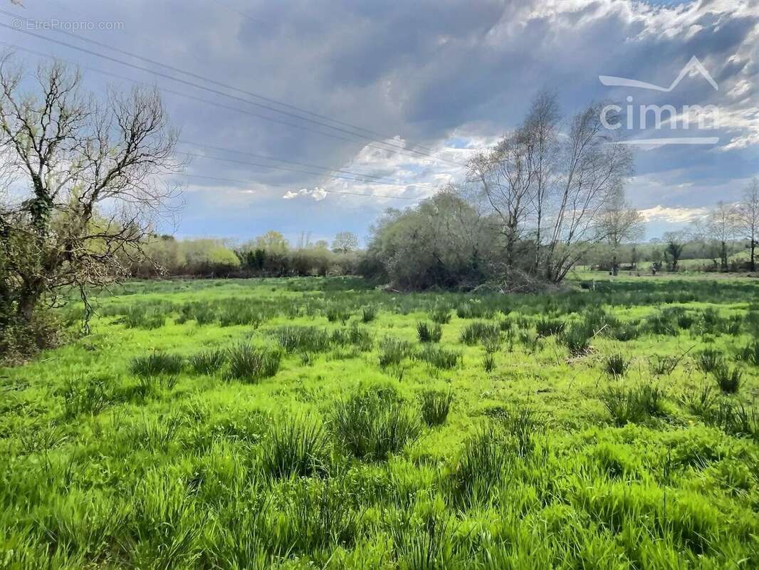 Terrain à NOZAY