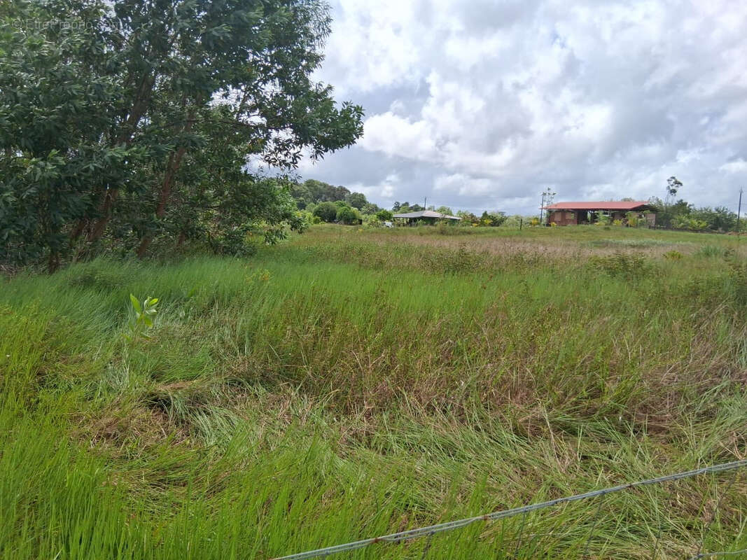 Terrain à KOUROU