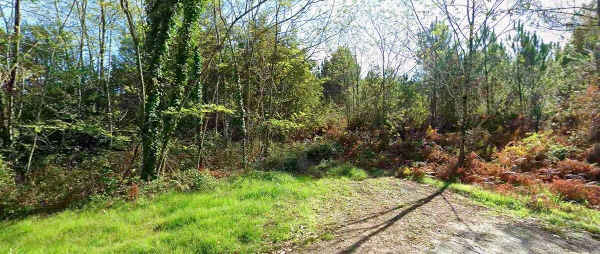 Terrain à LE TEMPLE