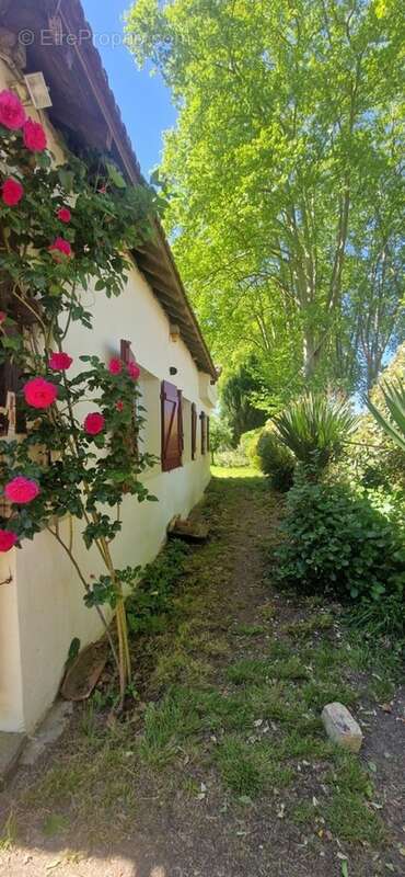 Maison à vendre 3 pièces LABASTIDE D'ARMAGNAC (40) - photo 20