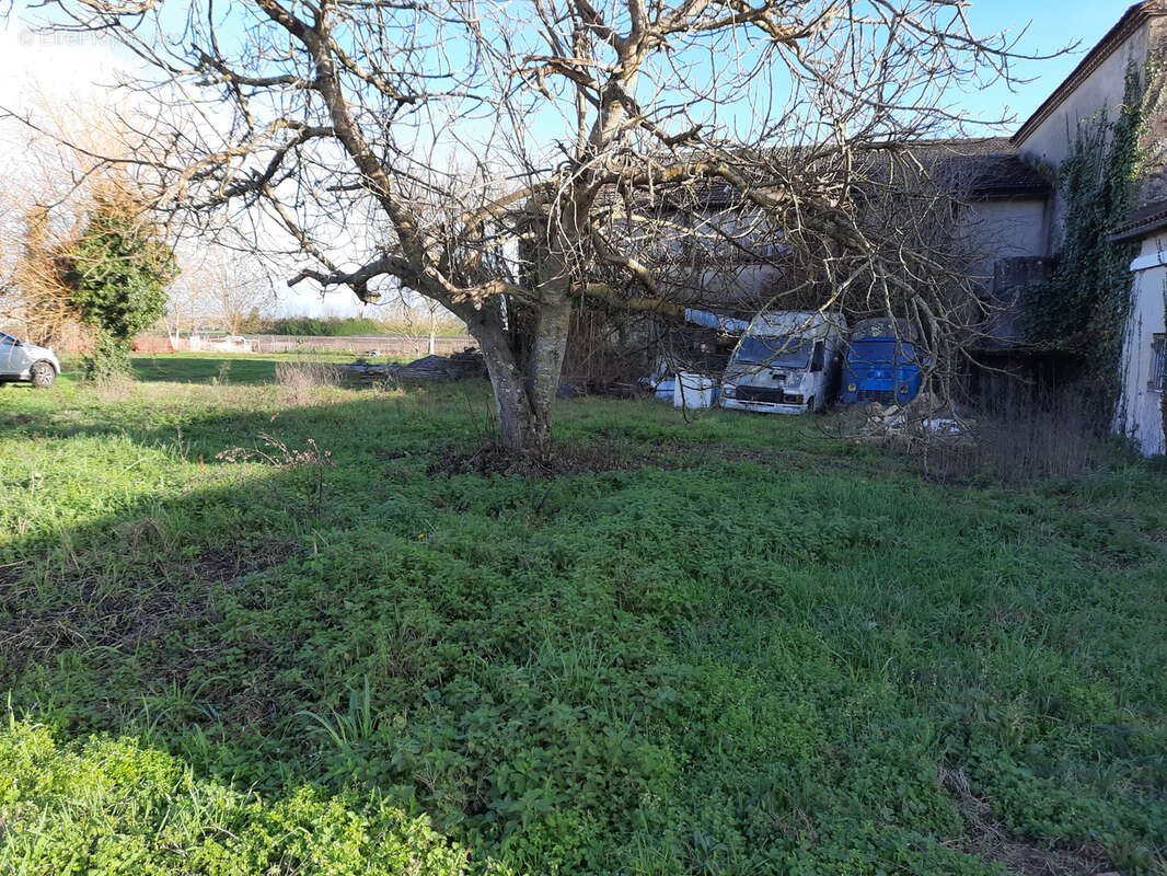 Maison à LAMOTHE-LANDERRON