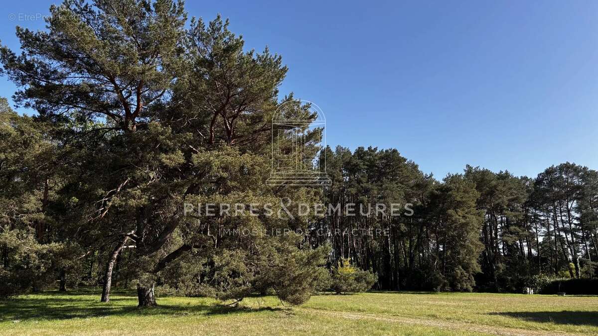 Un site touristique a reinventer en berry - photo 30