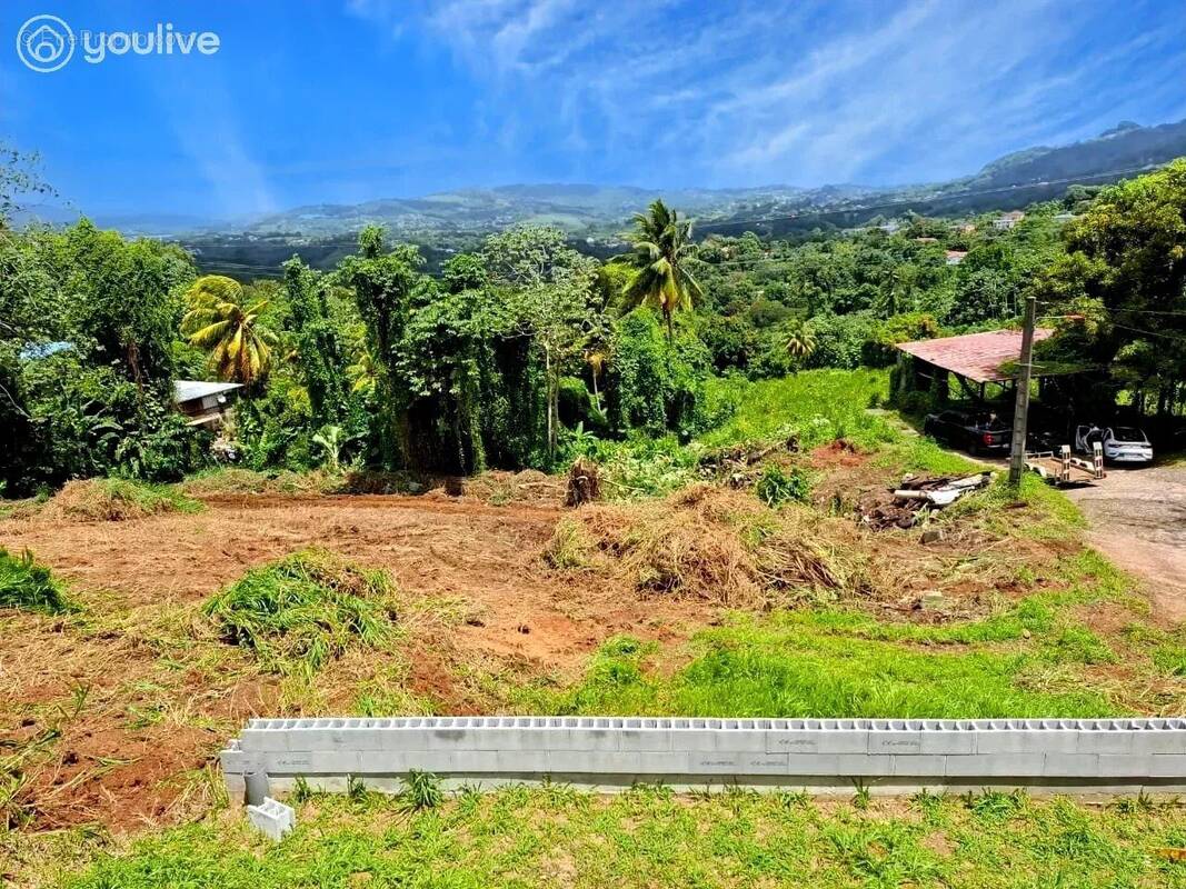 Terrain à LE LAMENTIN