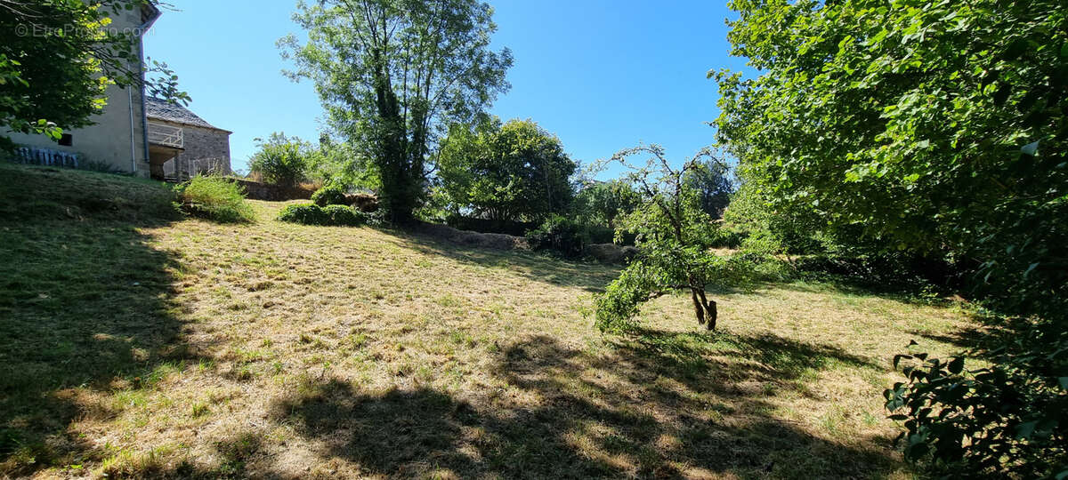 Nouveauté ! - photo 10