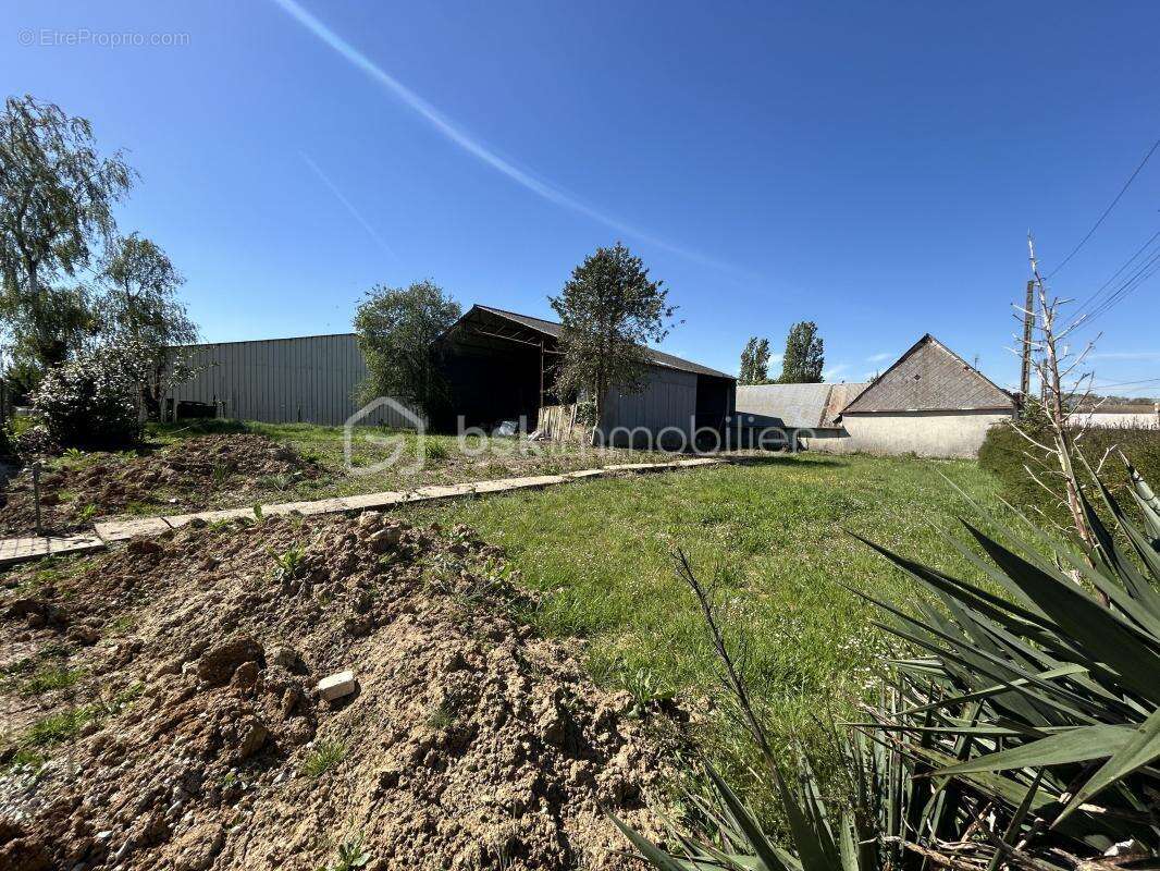  terrain 1 041 m² avec hangar 225 m² – fort potentiel – environnement calme - photo 2
