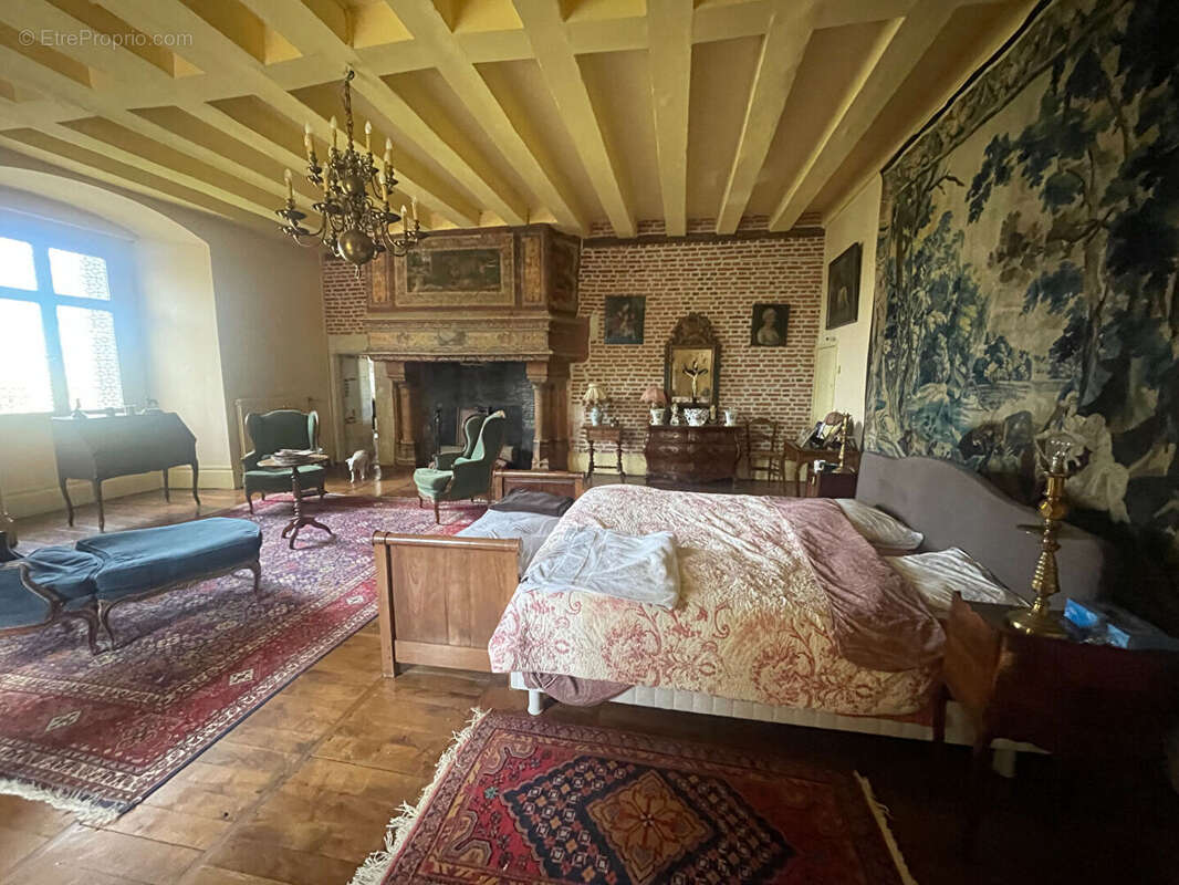 Magnifique Château  du 15ème à 2 pas d'Amboise - photo 7