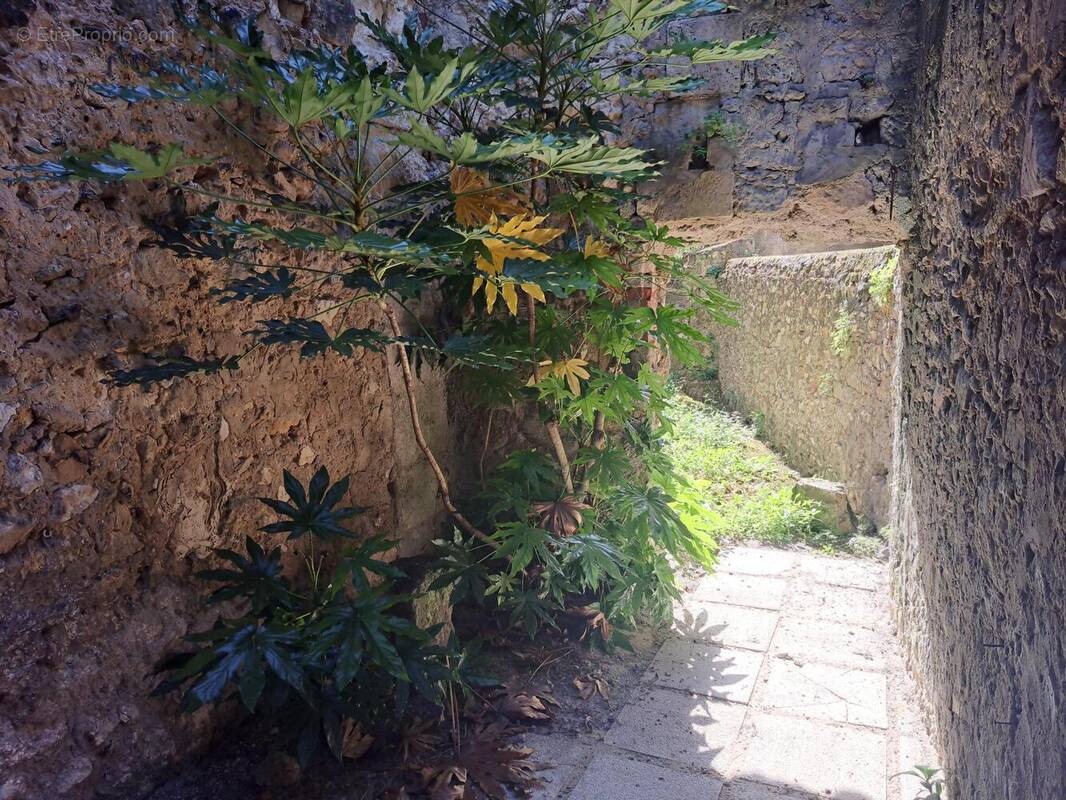 Photo 1 - Maison à ROQUEFORT