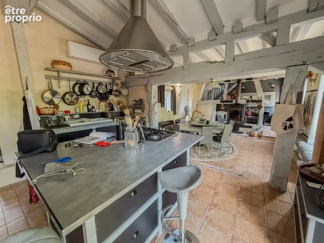4700 - maison avec piscine et son parc de 4180 m² - photo 9