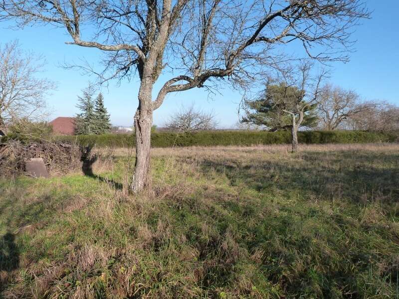 Dpt Moselle (57), à vendre proche de SARREGUEMINES terrain - Terrain de 855,00 m² - photo 9