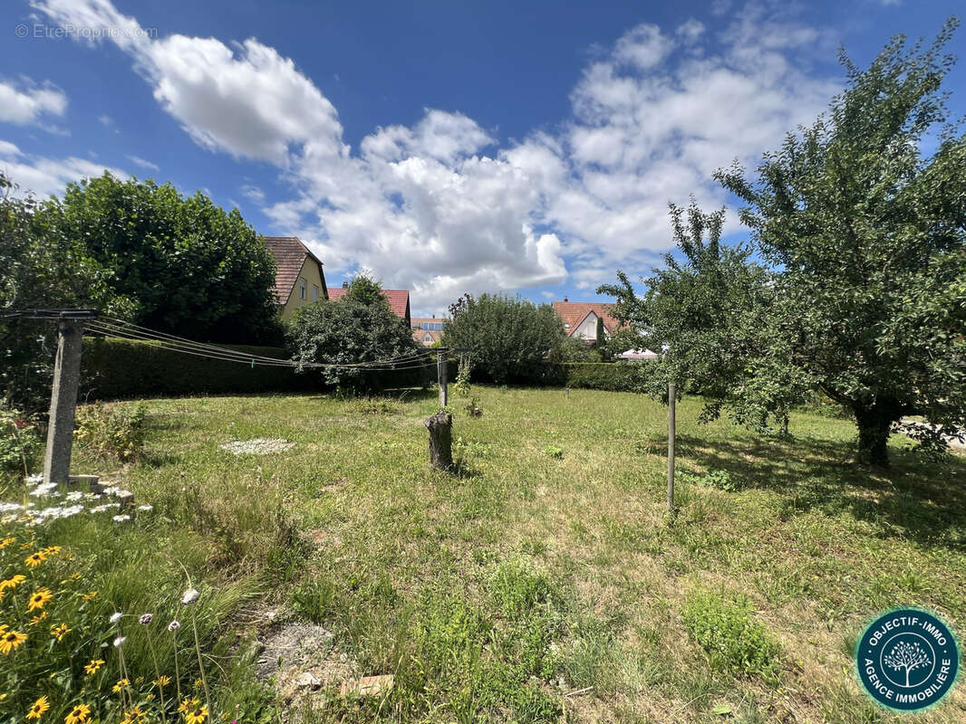 Terrain à WILLGOTTHEIM