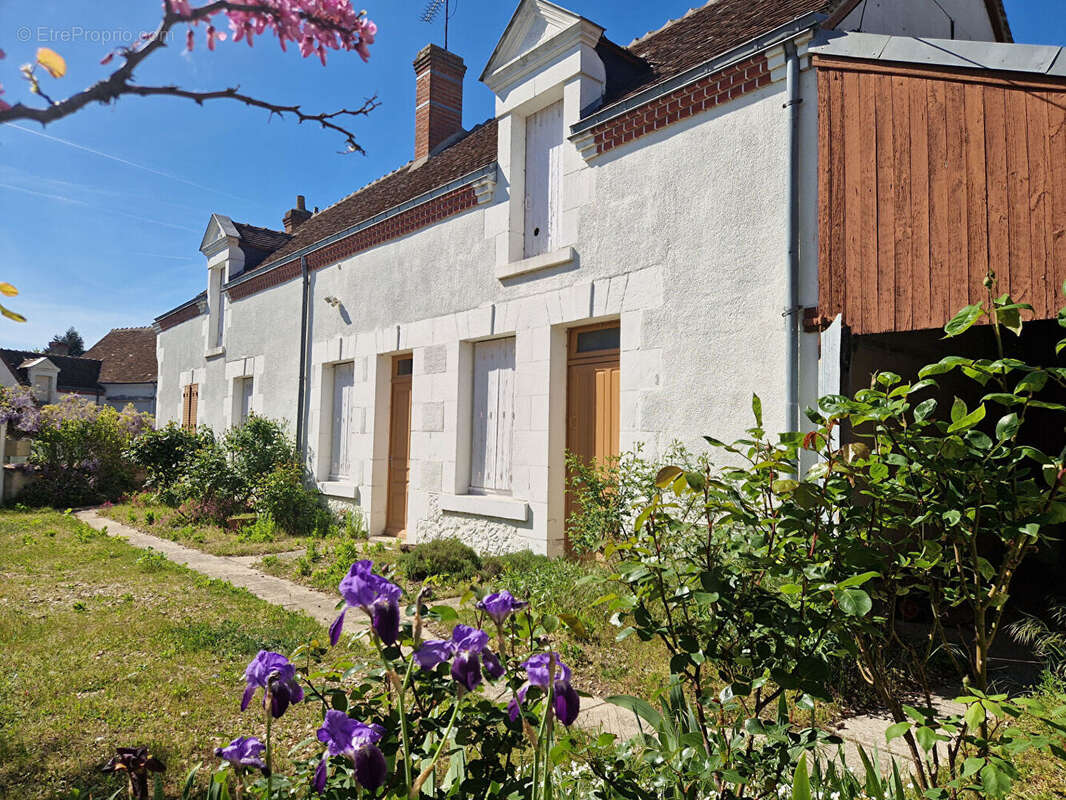 Maison à SELLES-SUR-CHER