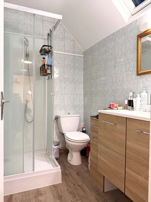 Salle d'eau/WC - Maison à LOUE