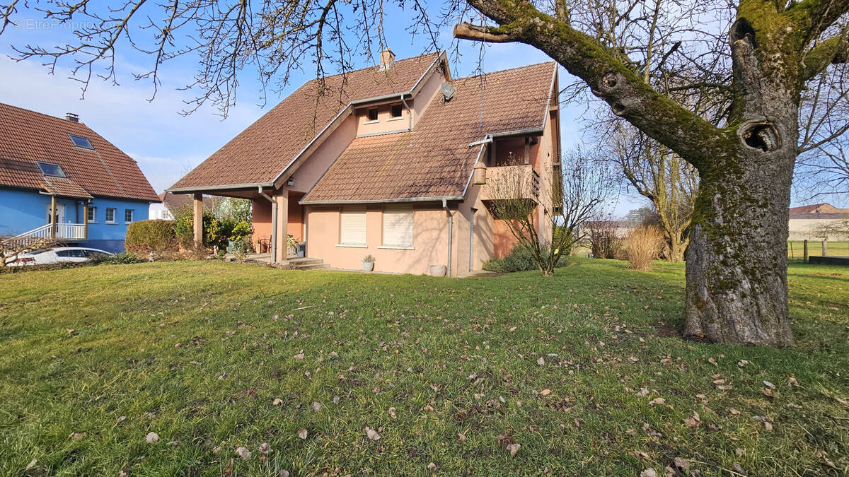 Maison à DANNEMARIE