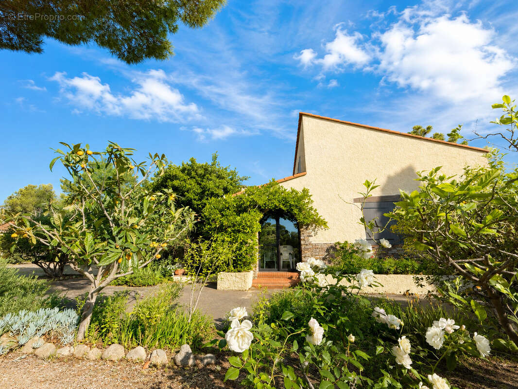 Maison à ARGELES-SUR-MER