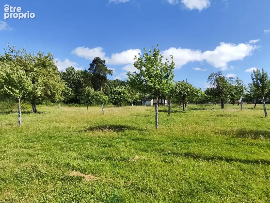 A proximité de Broglie, ensemble sur plus de 4ha, maisonnette, dépendances et bois de 3ha - photo 13