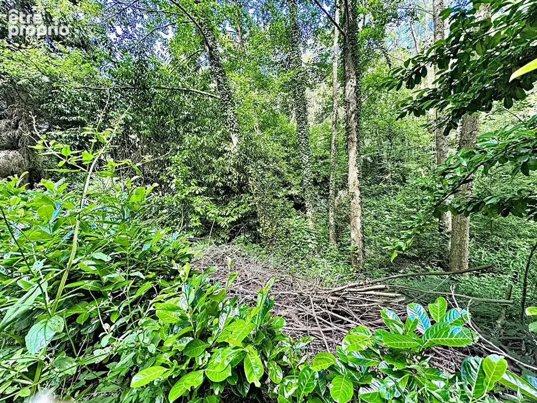 Exclusivite - cossesseville - terrain de loisirs - photo 5