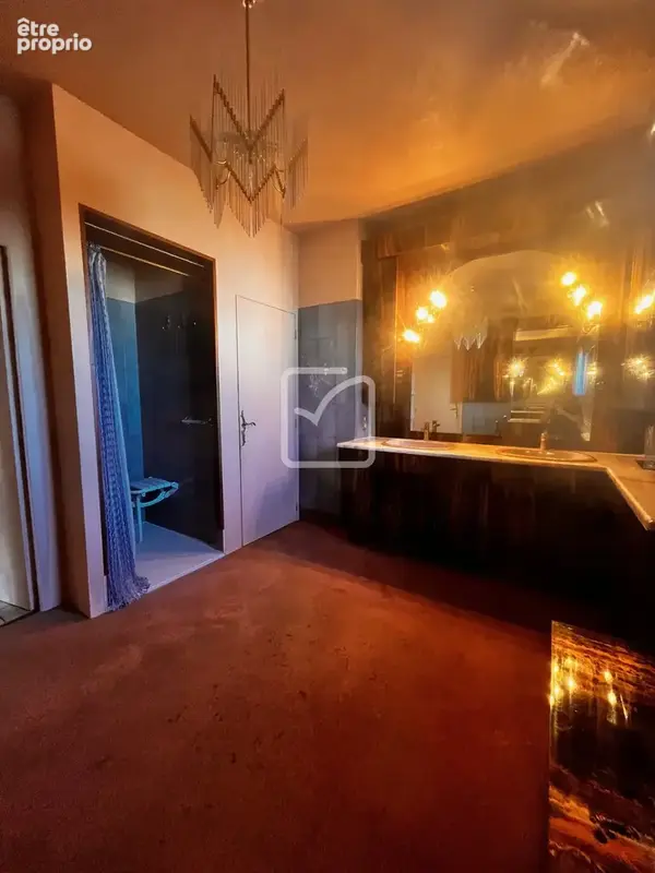Maison 300m2 OBJAT - photo 9